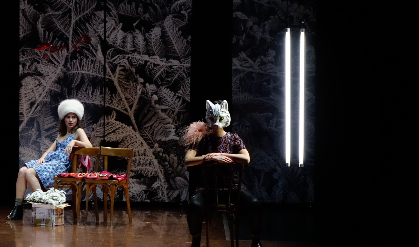 Maison des arts de Créteil - Le chat n'a que faire des souris mortes