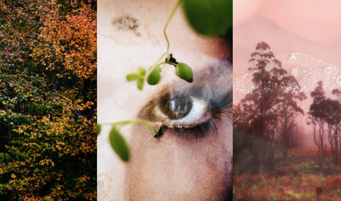 Maison des arts de Créteil - Homéostasie<br>Biennale Photoclimat X Mentorat des Filles de la Photo