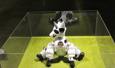 Maison des arts de Créteil - Botched Dollys